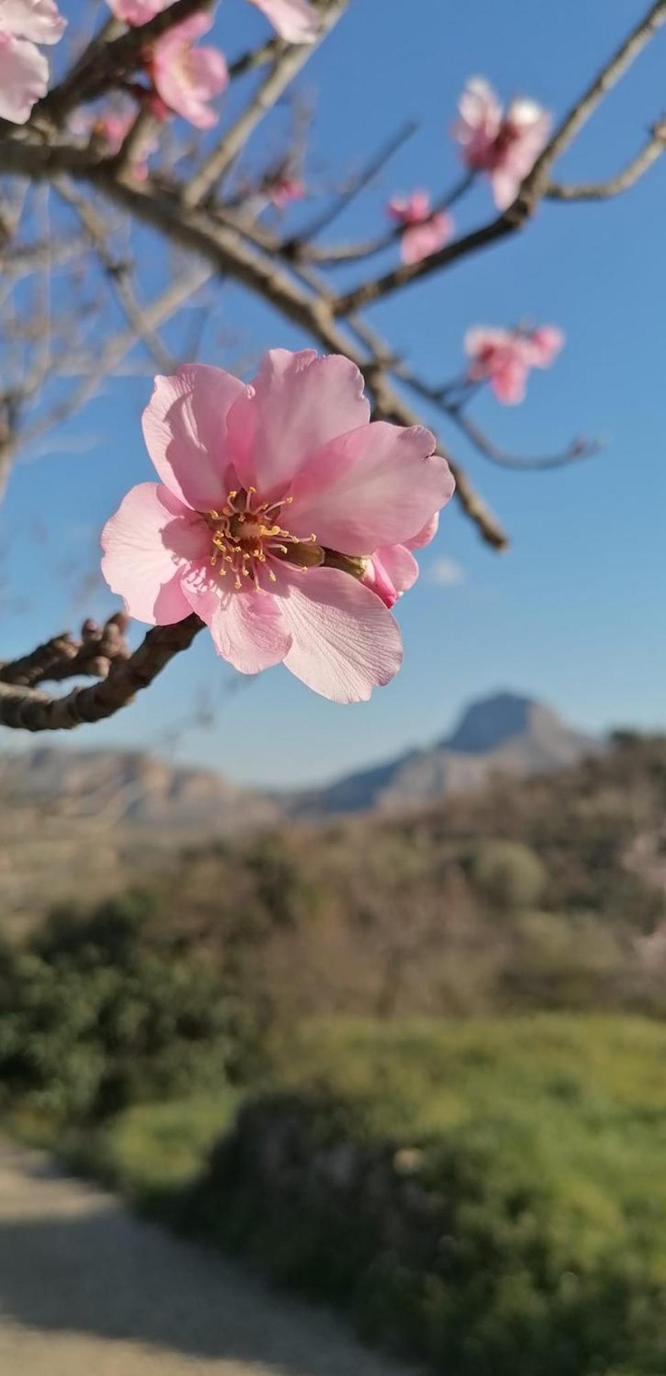 Can Lluna Tu Casa Zen Tárbena 外观 照片